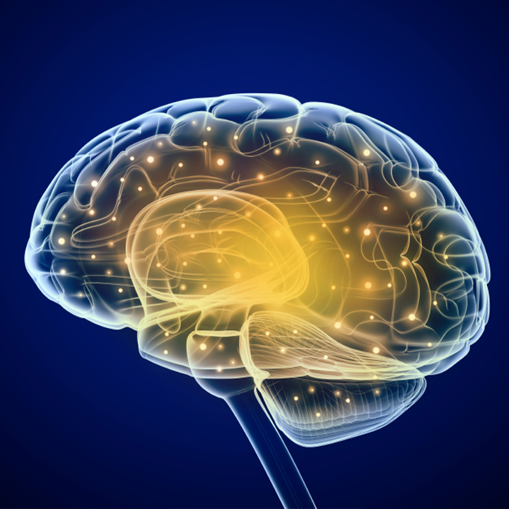 neuromarketing strategies you can apply in your campaign neuromarketing strategies you can apply in your campaign